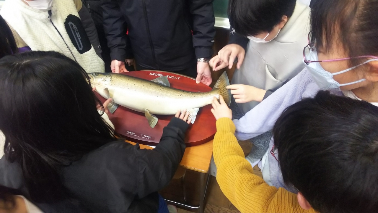 箱根の森小学校で芦ノ湖の魚に関する授業が行われました!