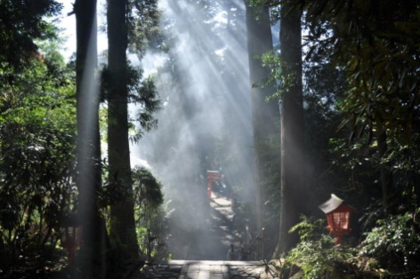 岡部　忍　氏　『朝煙る箱根神社』