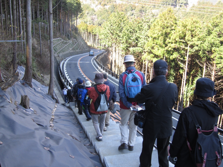 新設された観察路(橋梁下に保存された遺跡があります)