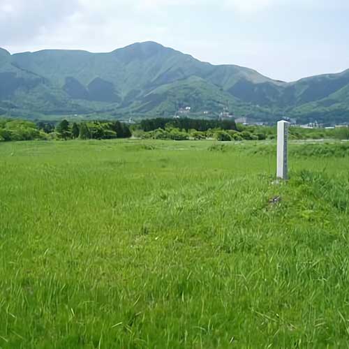 仙石原湿原イメージ