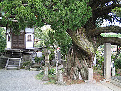 城願寺