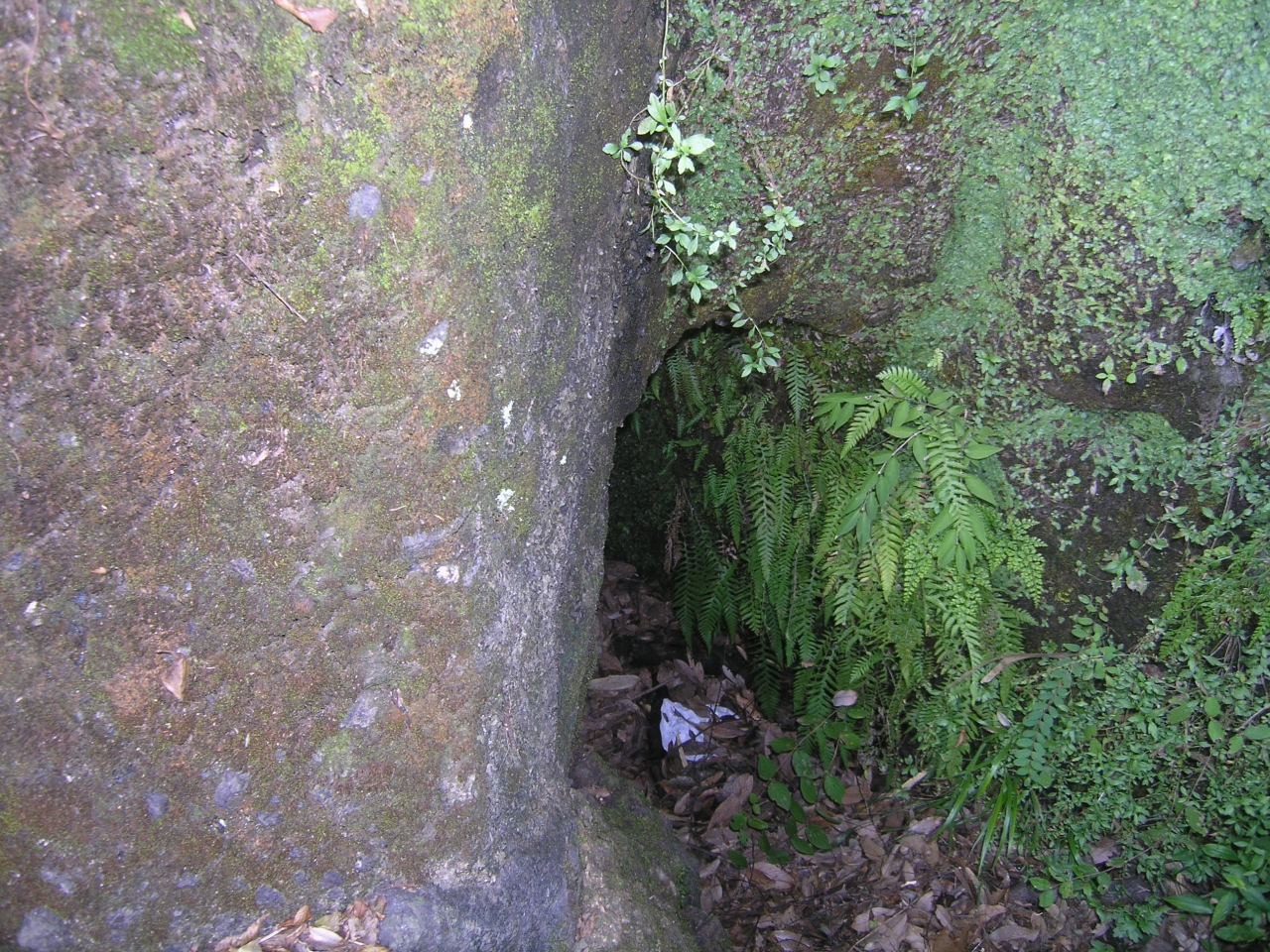 箱根ジオパークロゴ