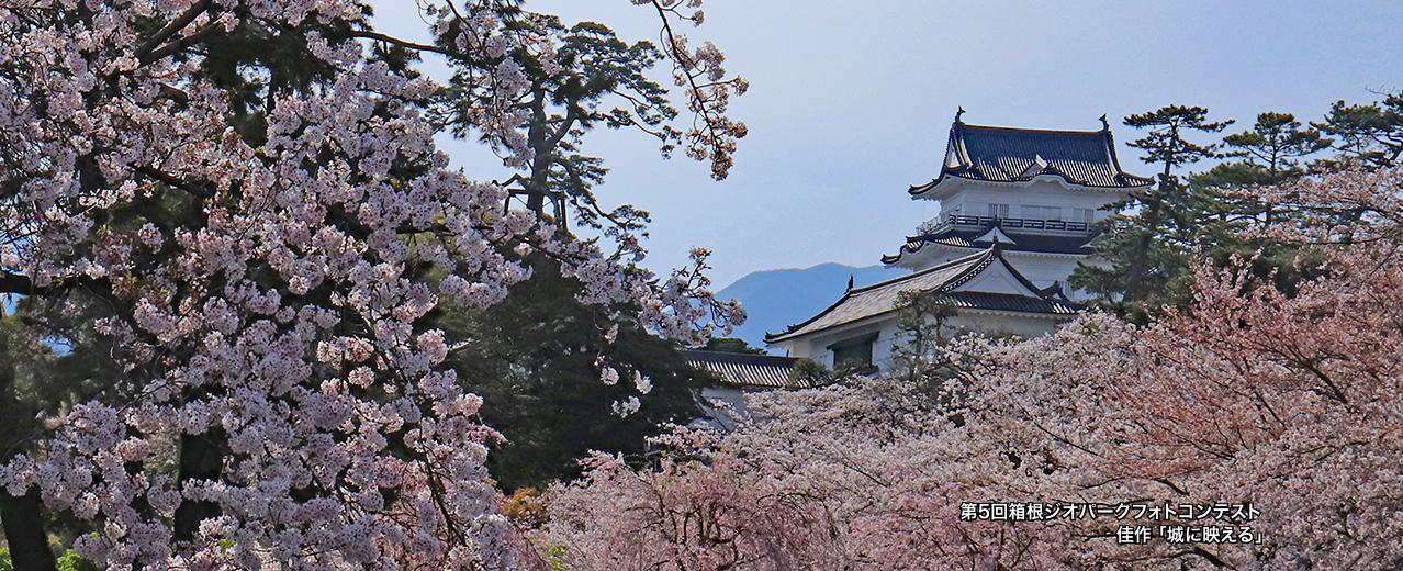 小田原エリア