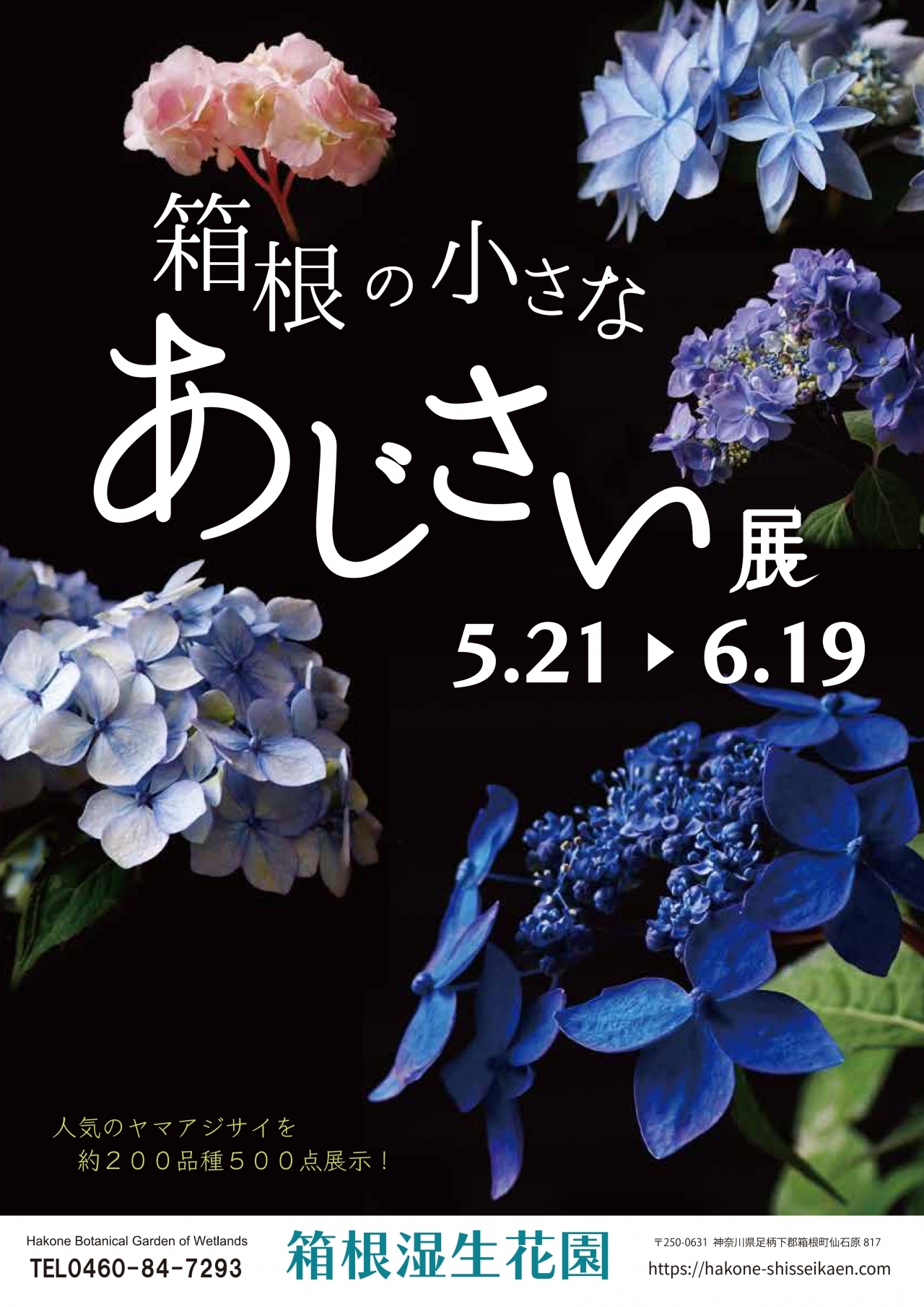花材　みちのく　あじさいや　新品　12箱　まとめ売り 049-00013_m.jpg