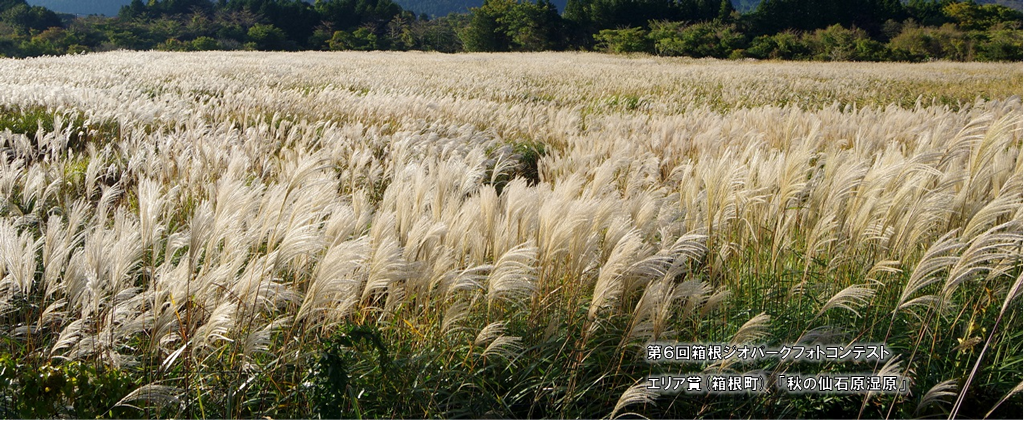 箱根早川沿いエリア