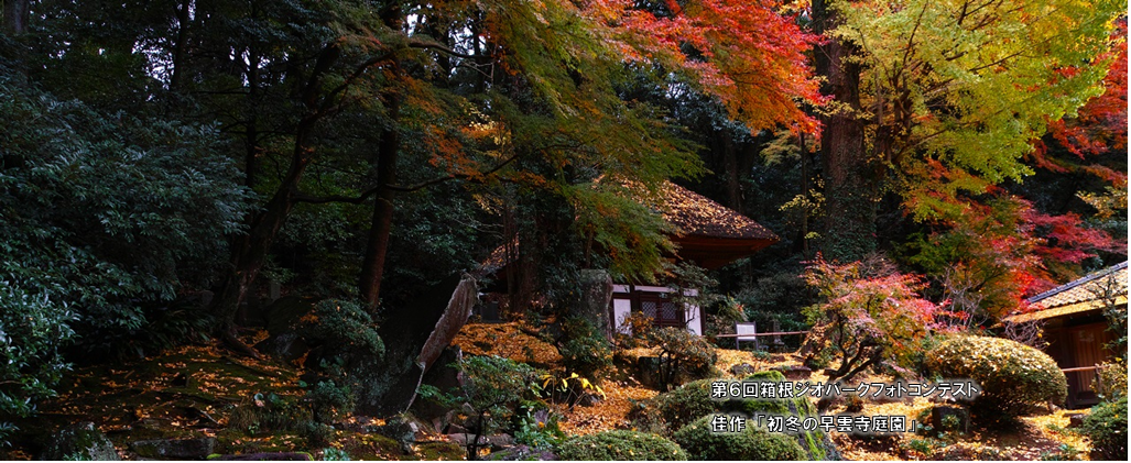 箱根須雲川沿いエリア