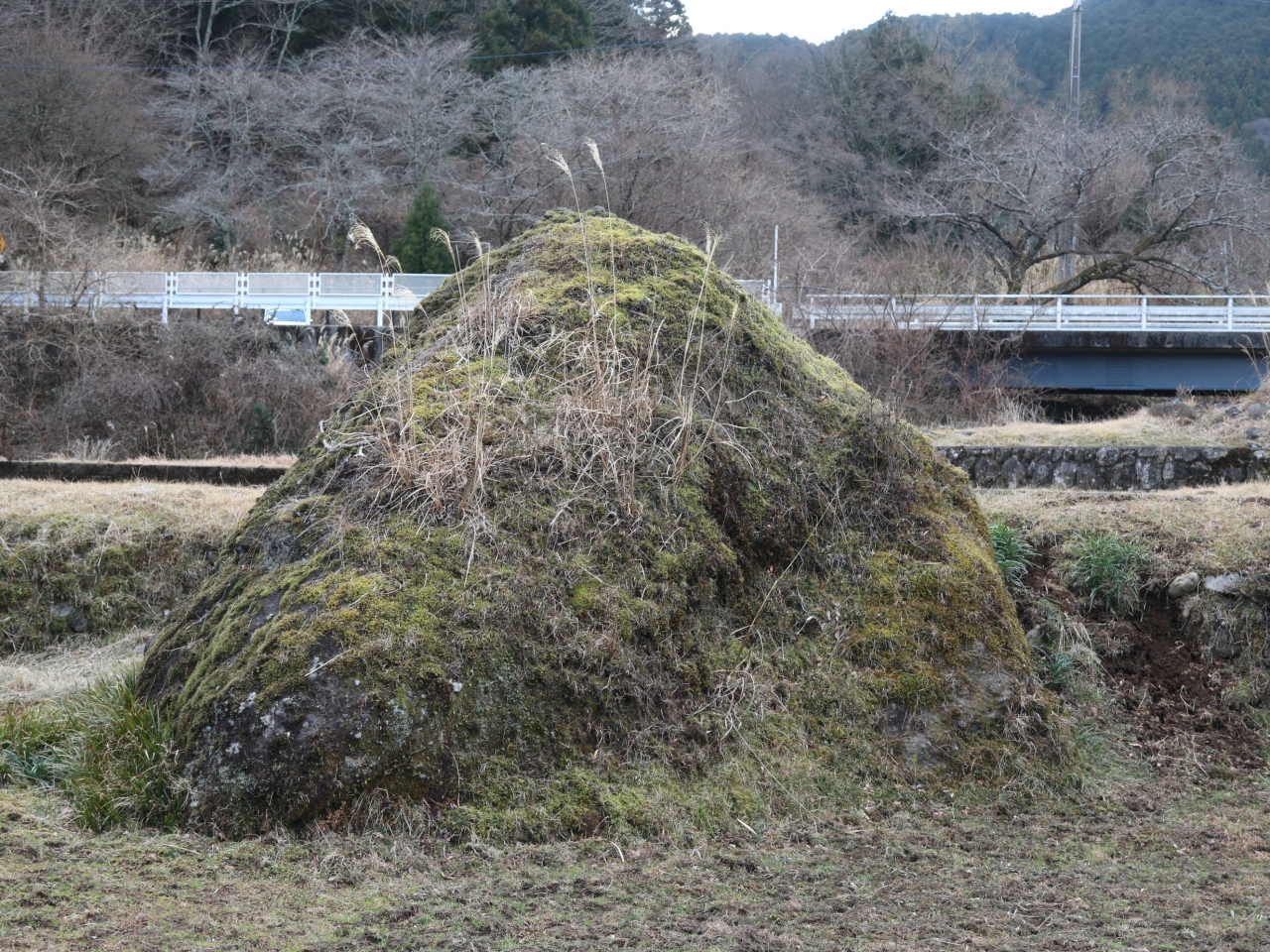 金太郎遊び石