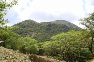 神山（かみやま）