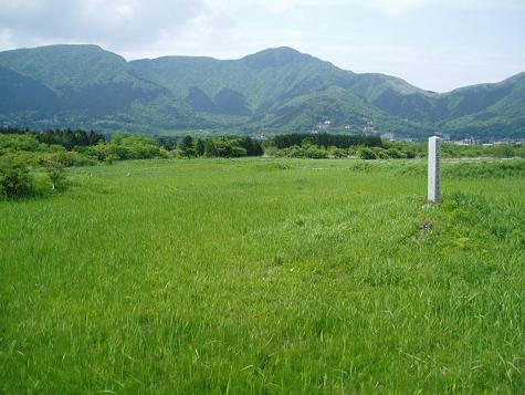 箱根仙石原湿原植物群落（はこねせんごくはらしつげんしょくぶつぐんらく）